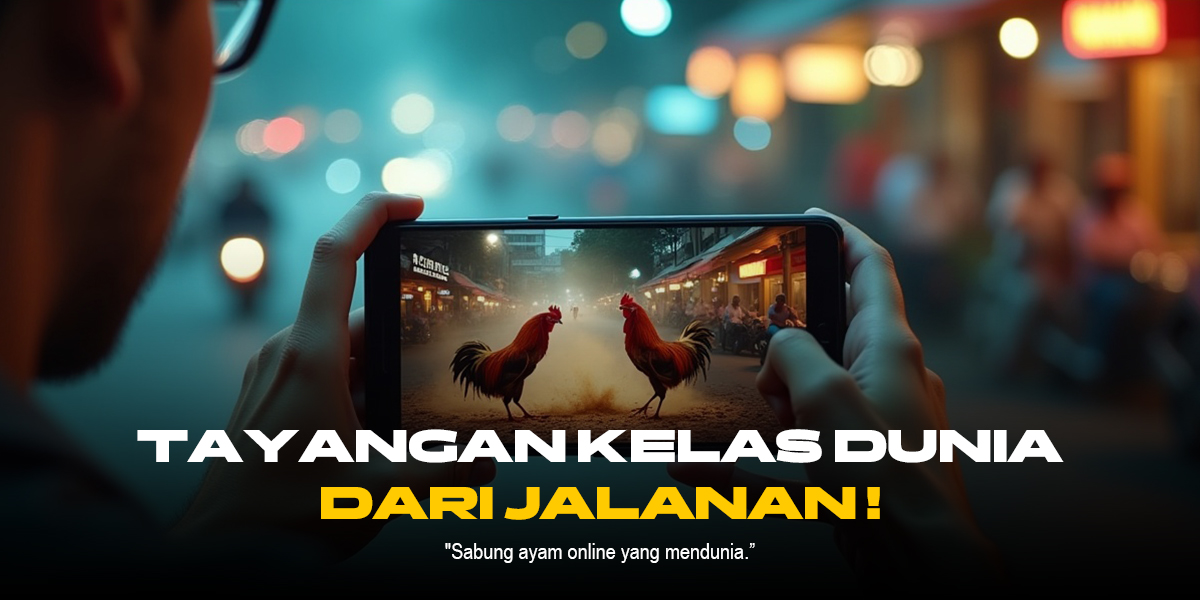 Jenis Ayam Aduan S128 yang Paling Populer dan Cara Pilihannya